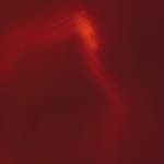 Ninth image from the photoset 'see nerd (vi)'.