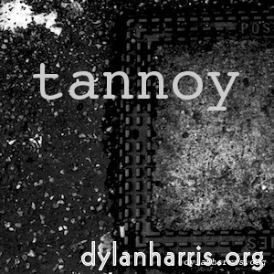 Image: Image 'tannoy (i) 1'.