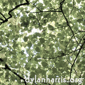 Image 'tannoy (i) 11'.