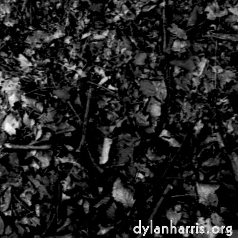 Image: Image 'tannoy (i) 5'.