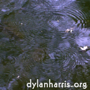 Image: Image 'tannoy (i) 8'.