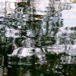 Image: Fourteenth image from the photoset 'tannoy (i)'.