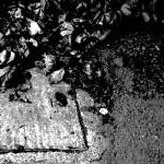 Image: Ninth image from the photoset 'tannoy (i)'.