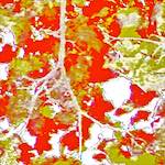 Fourth image from the photoset 'tannoy (ii)'.