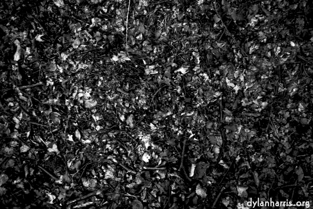 Image 'texture (iii) 12'.