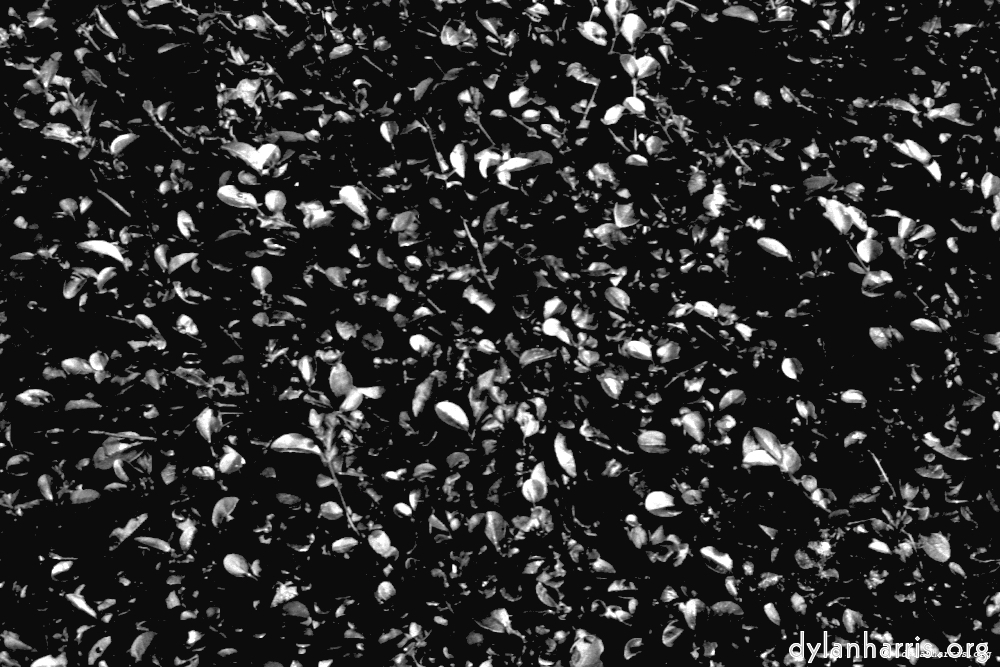 Image 'texture (iii) 14'.