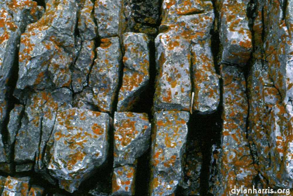 Image: Image 'texture (iii) 18'.