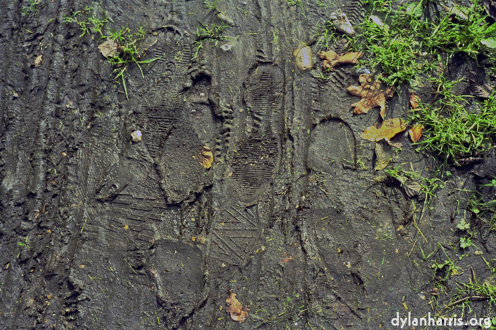 Image 'texture (iii) 3'.