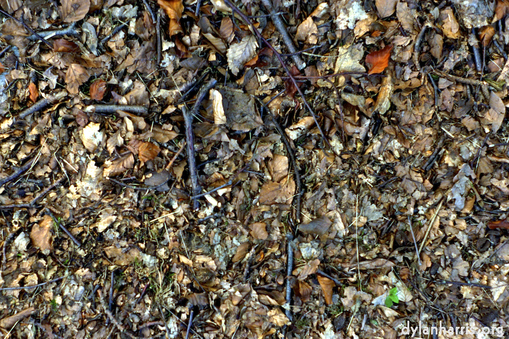 Image 'texture (iii) 7'.