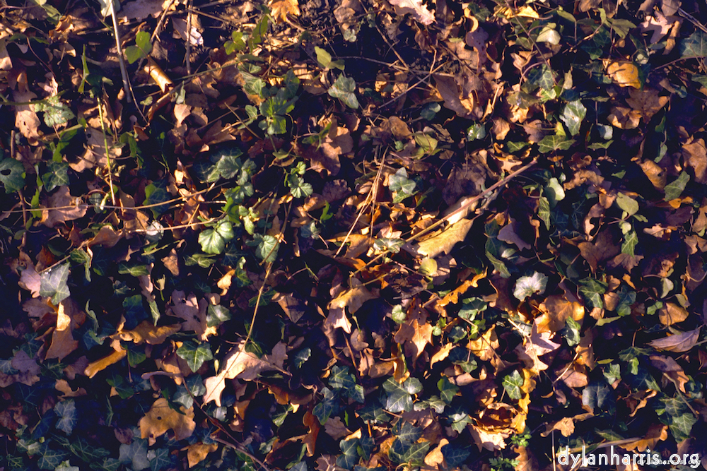 Image 'texture (iii) 9'.