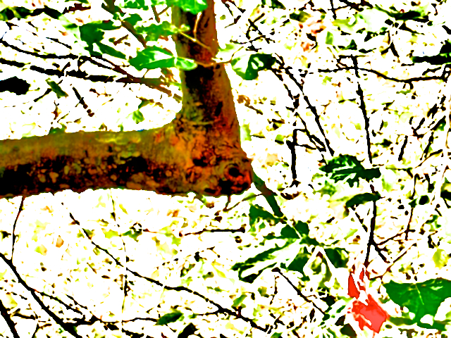 Image 'the pale, part 12'.