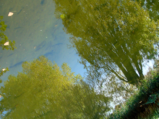 Image 'the pale, part 16'.