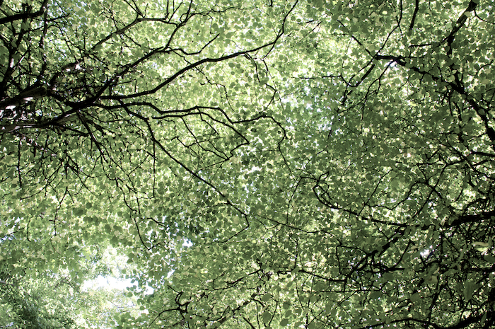 image: This is &lsquo;the pale, part 3&rsquo;.