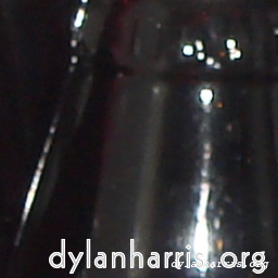 Image: Image 'wurm im apfel (i) 10'.