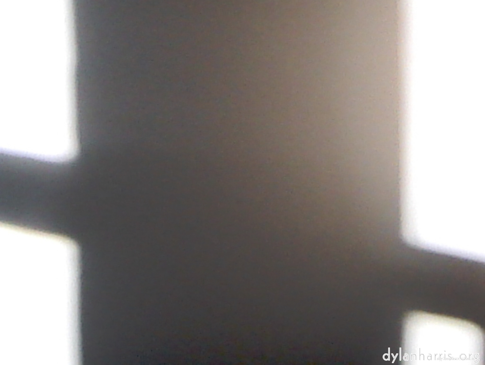 Image 'wurm im apfel (i) 11'.