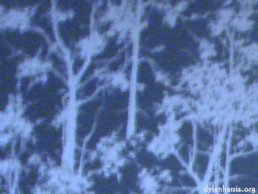 Image: Image 'wurm im apfel (i) 13'.