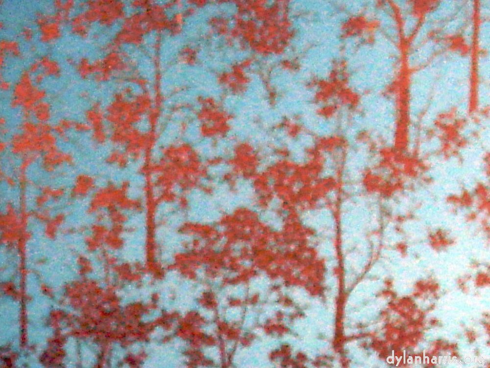 Image 'wurm im apfel (i) 3'.