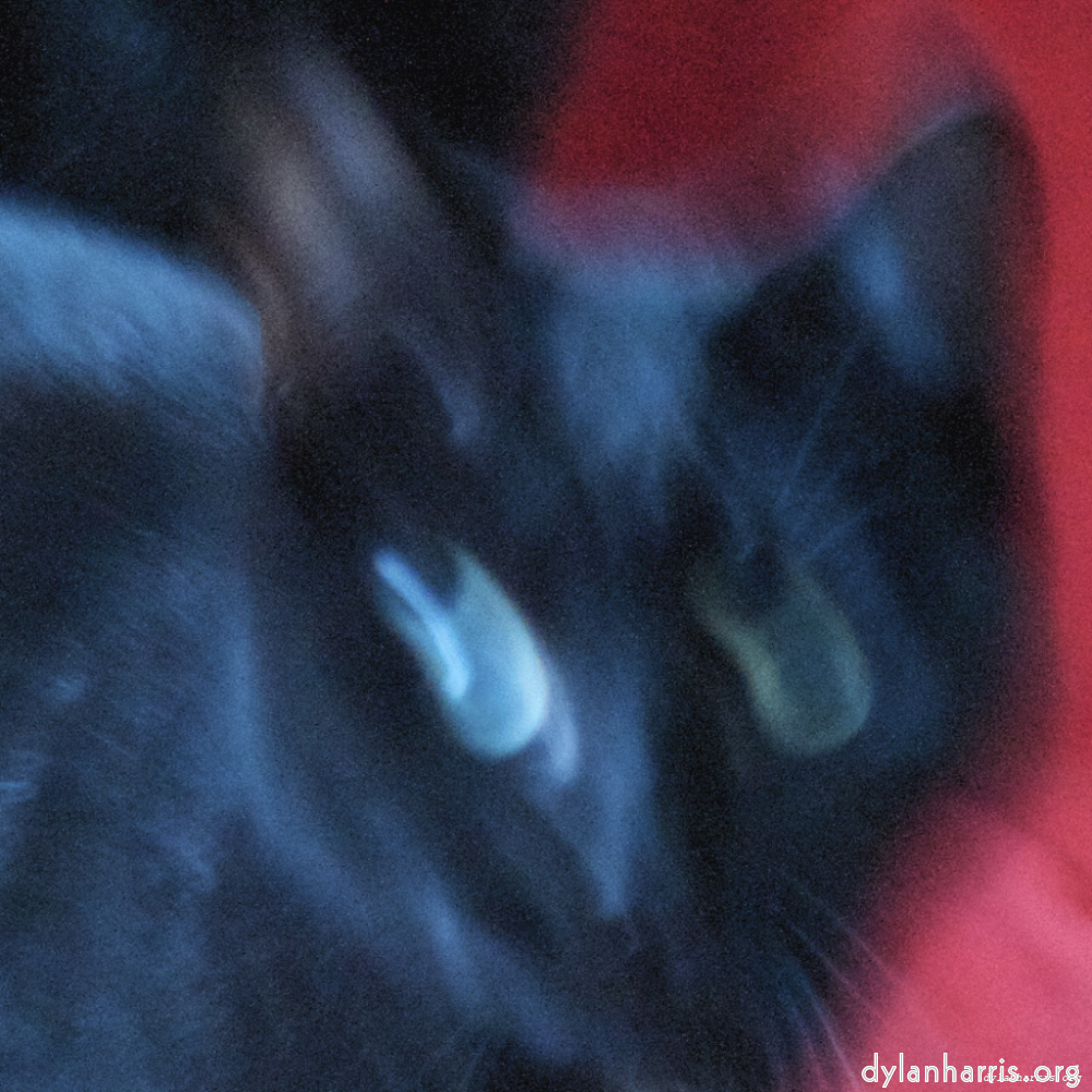 Image: Image 'wurm im apfel (ii) 7'.