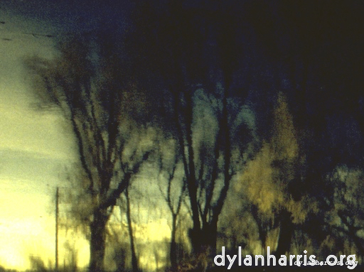 Image: Image 'wurm im apfel (ii) 9'.