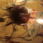 Tenth image from the photoset 'wurm im apfel (ii)'.