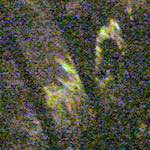 Third image from the photoset 'wurm im apfel (ii)'.