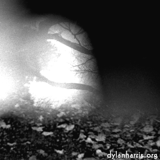 Image 'wurm im apfel (iii) 14'.