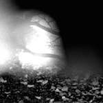 Fourteenth image from the photoset 'wurm im apfel (iii)'.