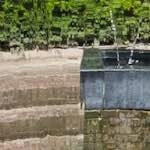 Eighth image from the photoset 'wurm im apfel (iv)'.