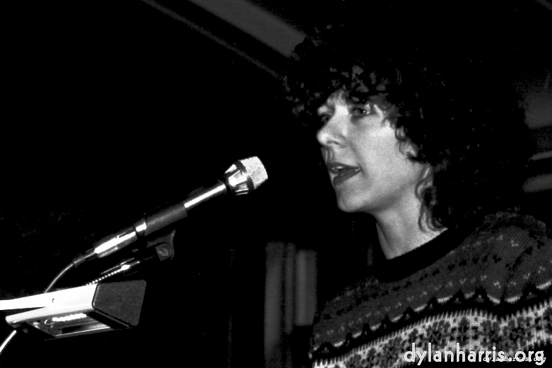 Image: Image 'YLs 3'.