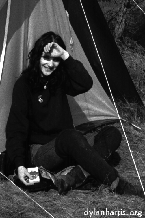 Image: Image 'YLs 4'.