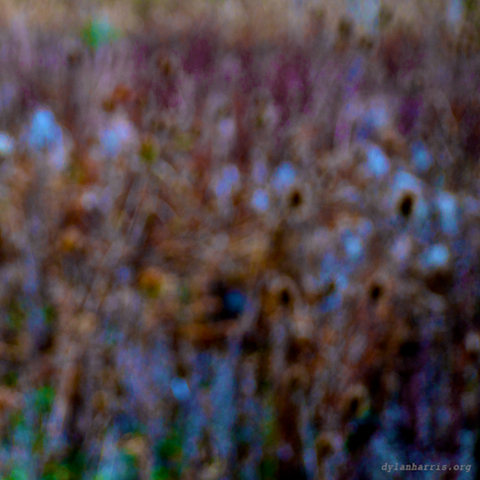 image: unlabelled image