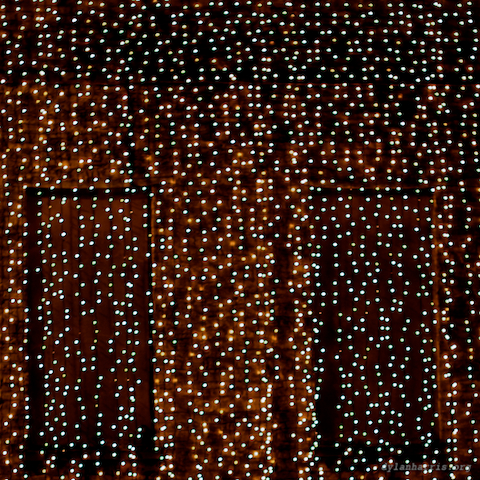 image: unlabelled image