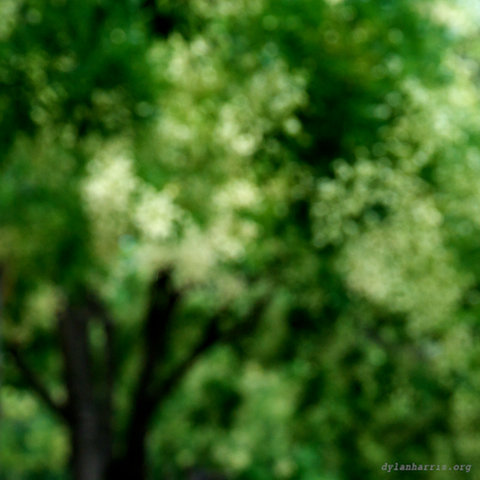 image: unlabelled image