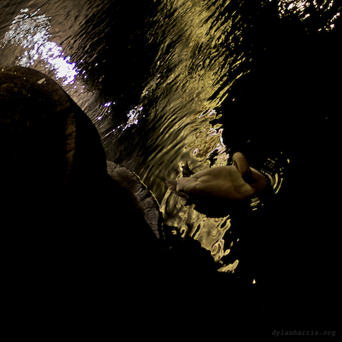 image: unlabelled image