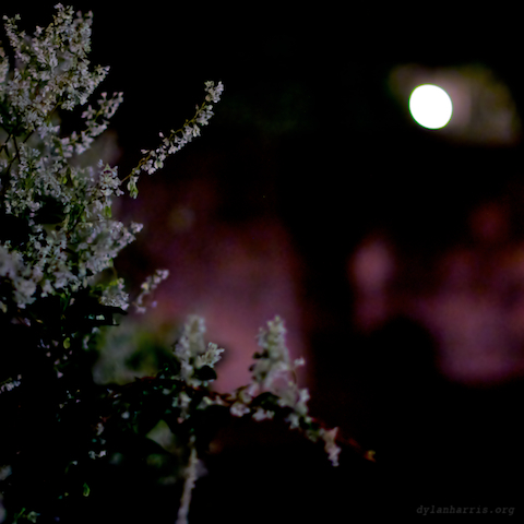 image: unlabelled image