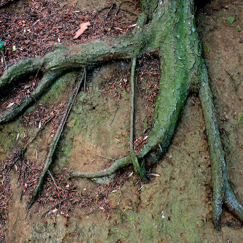 image: unlabelled image