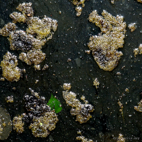 image: unlabelled image