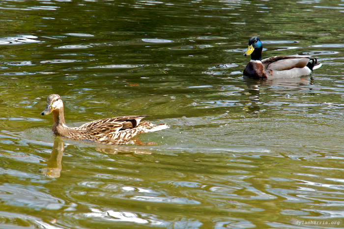 image: unlabelled image
