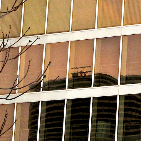 image: unlabelled image