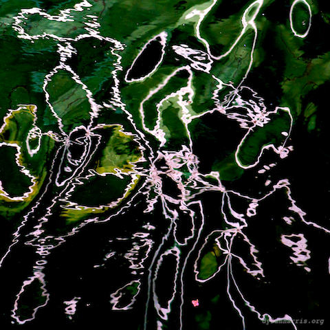 image: unlabelled image