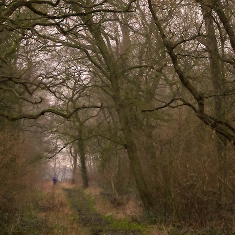 image: unlabelled image