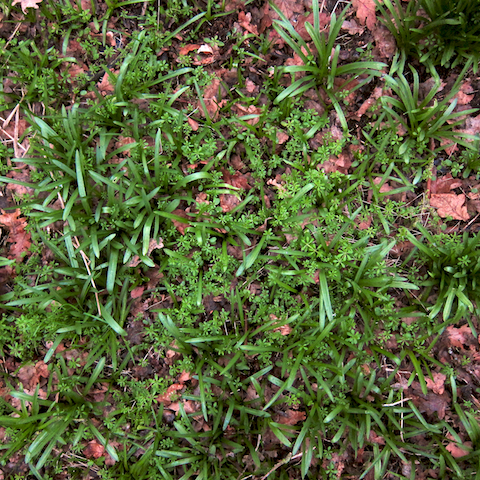 image: unlabelled image