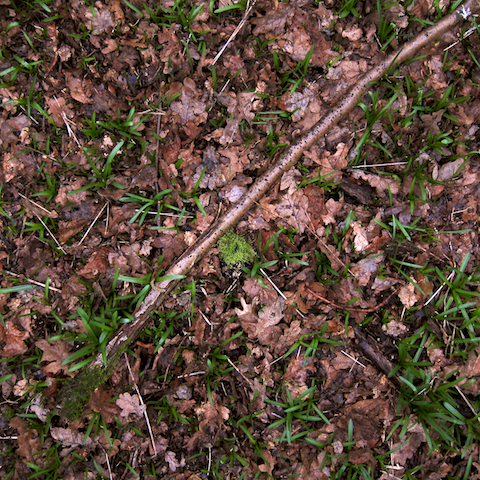 image: unlabelled image