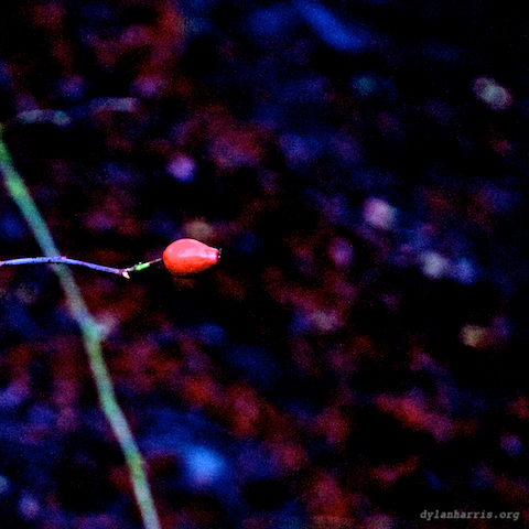 image: unlabelled image