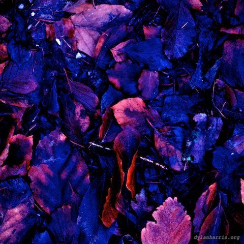 image: unlabelled image