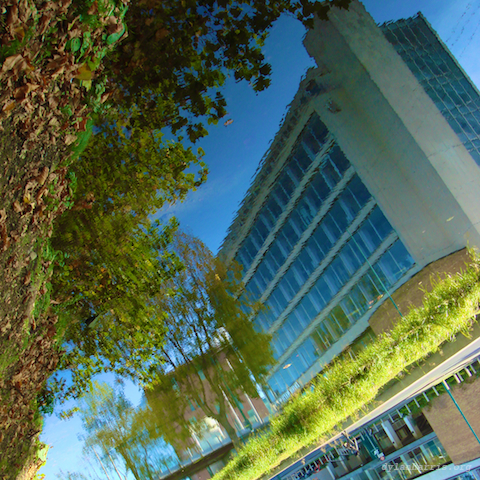 image: unlabelled image