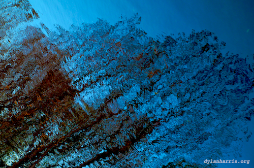 image: unlabelled image