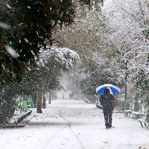 image: unlabelled image