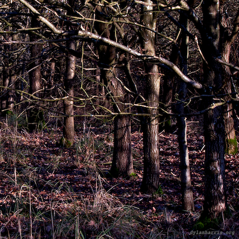 image: unlabelled image