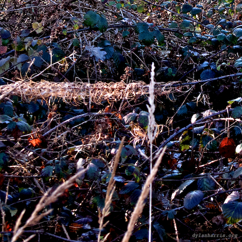 image: unlabelled image